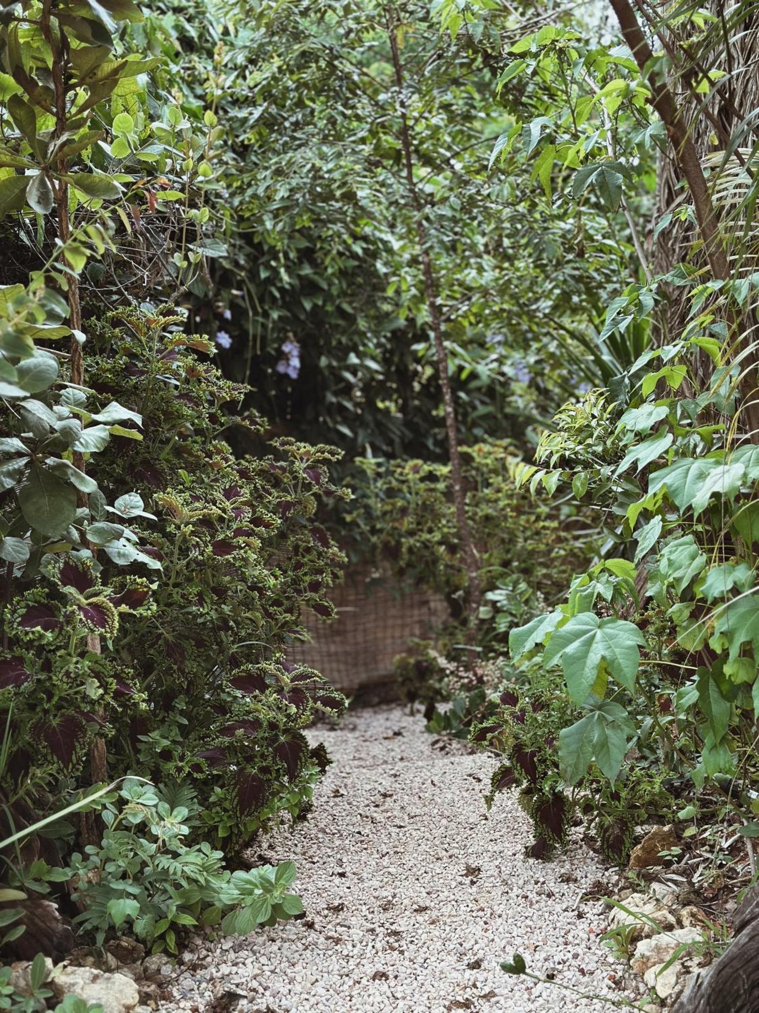 Vila Abaton Alto Paraíso de Goiás Bagian luar foto
